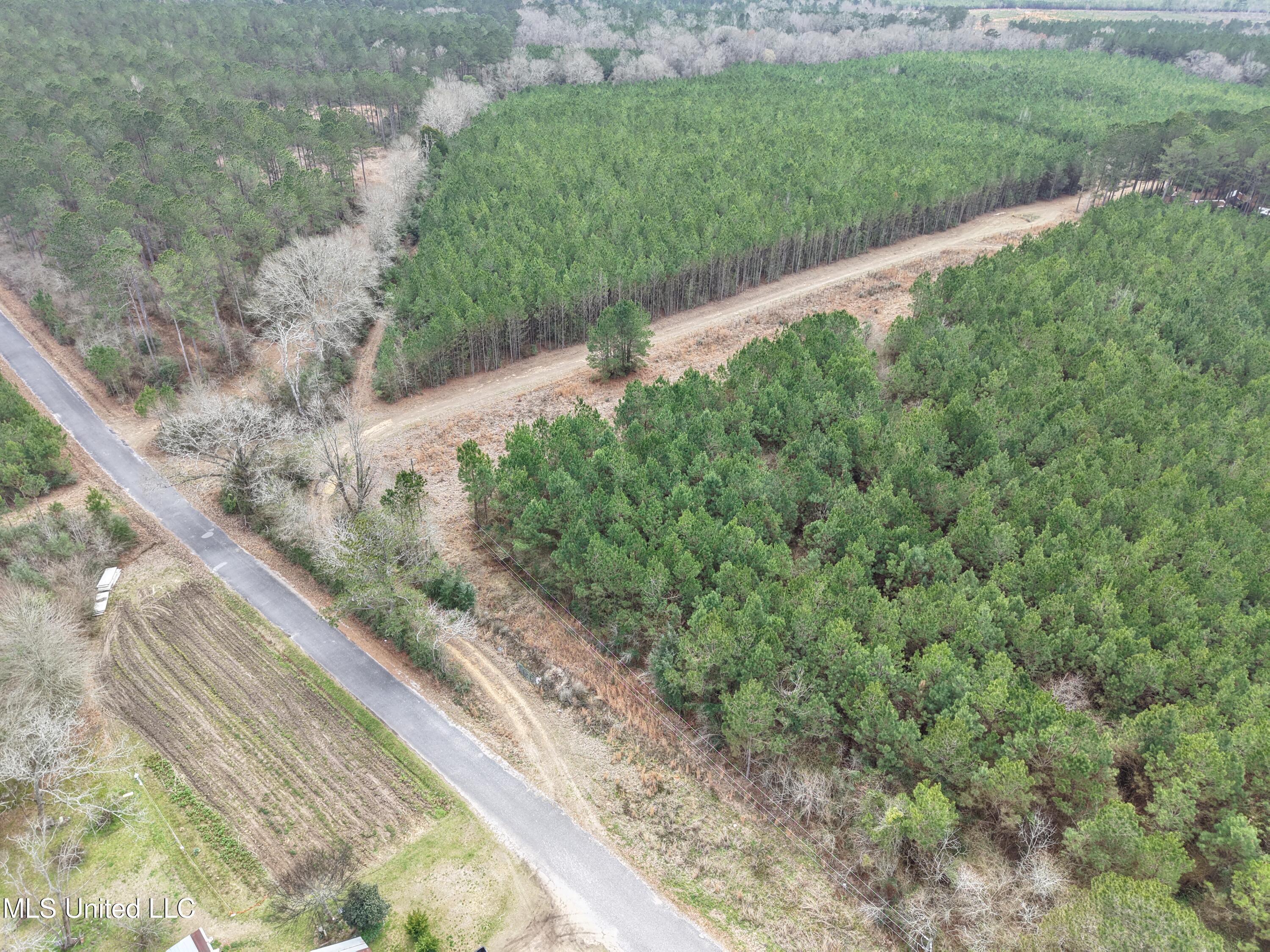 Dyess Road Carson, MS 39427 - Photo 30 of 35 dji_fly_20260218_120754_0096_17714518178