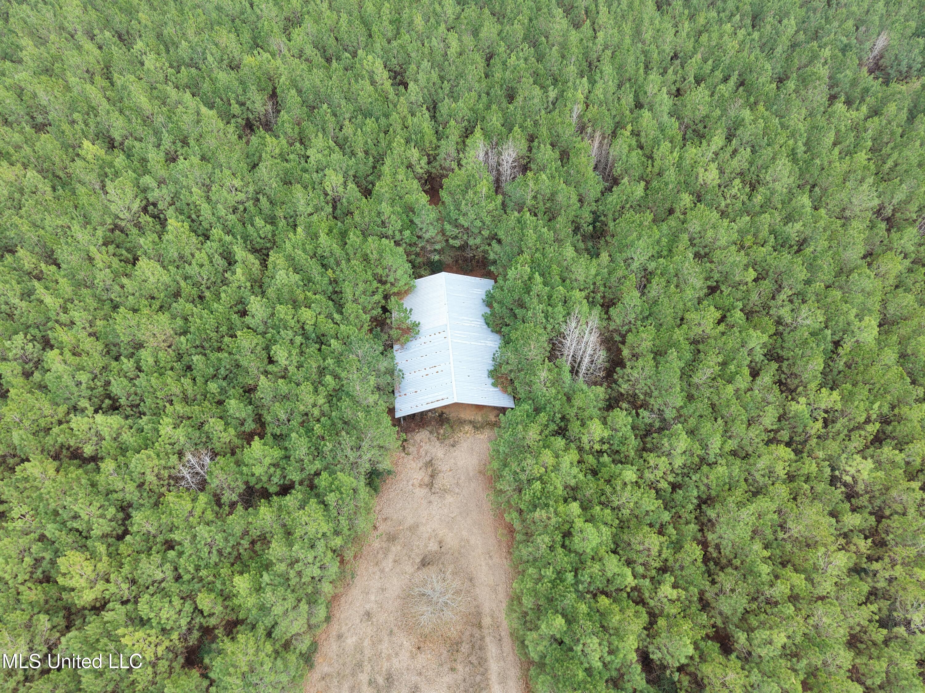 Dyess Road Carson, MS 39427 - Photo 3 of 35 dji_fly_20260218_114814_0066_17714518891