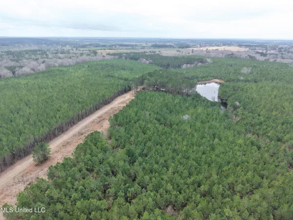 $434,900 | Dyess Road, Carson, MS 39427