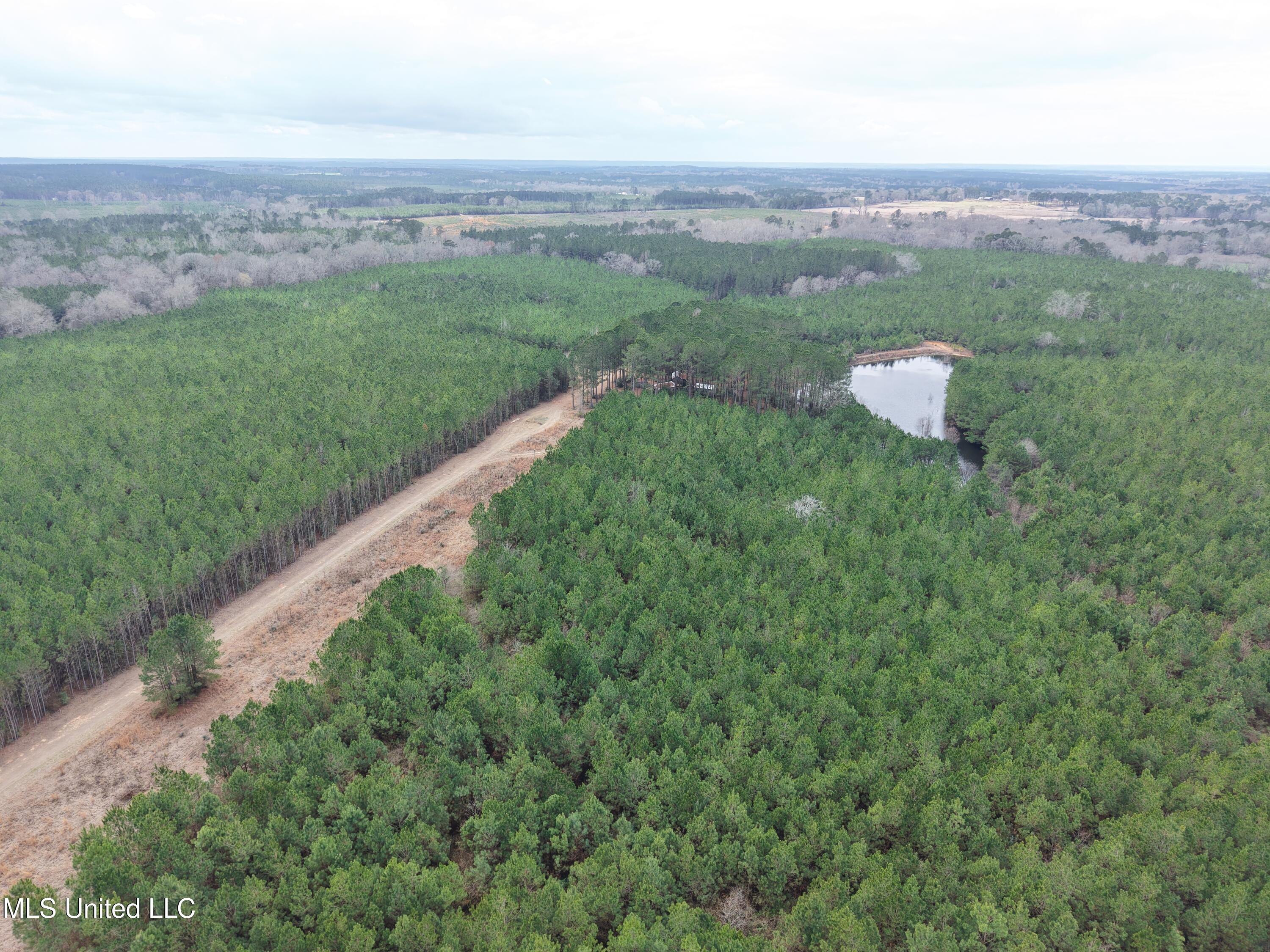 Dyess Road Carson, MS 39427 - Photo 31 of 35 dji_fly_20260218_120812_0097_17714518158