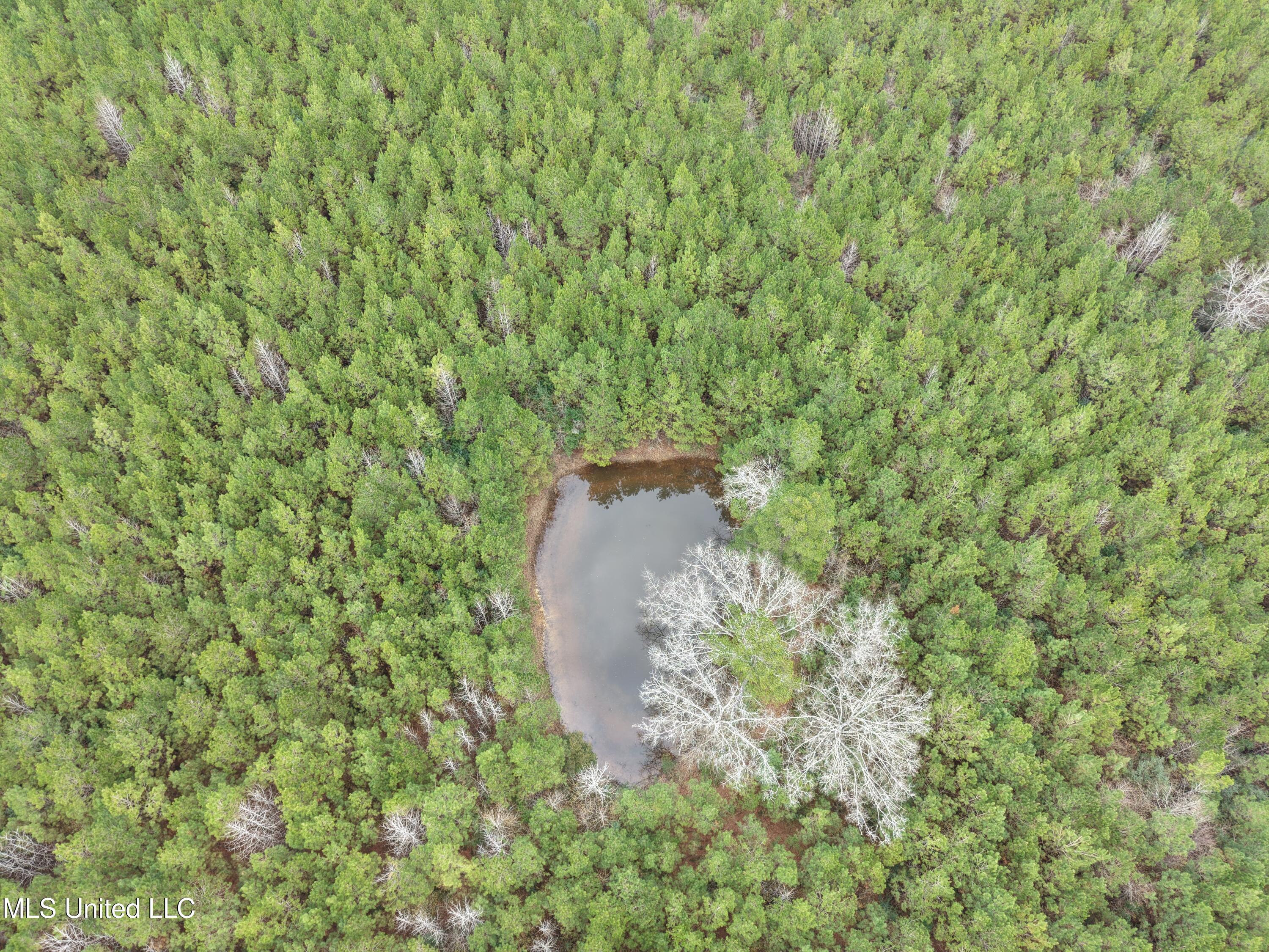 Dyess Road Carson, MS 39427 - Photo 34 of 35 dji_fly_20260218_115408_0073_17714518696