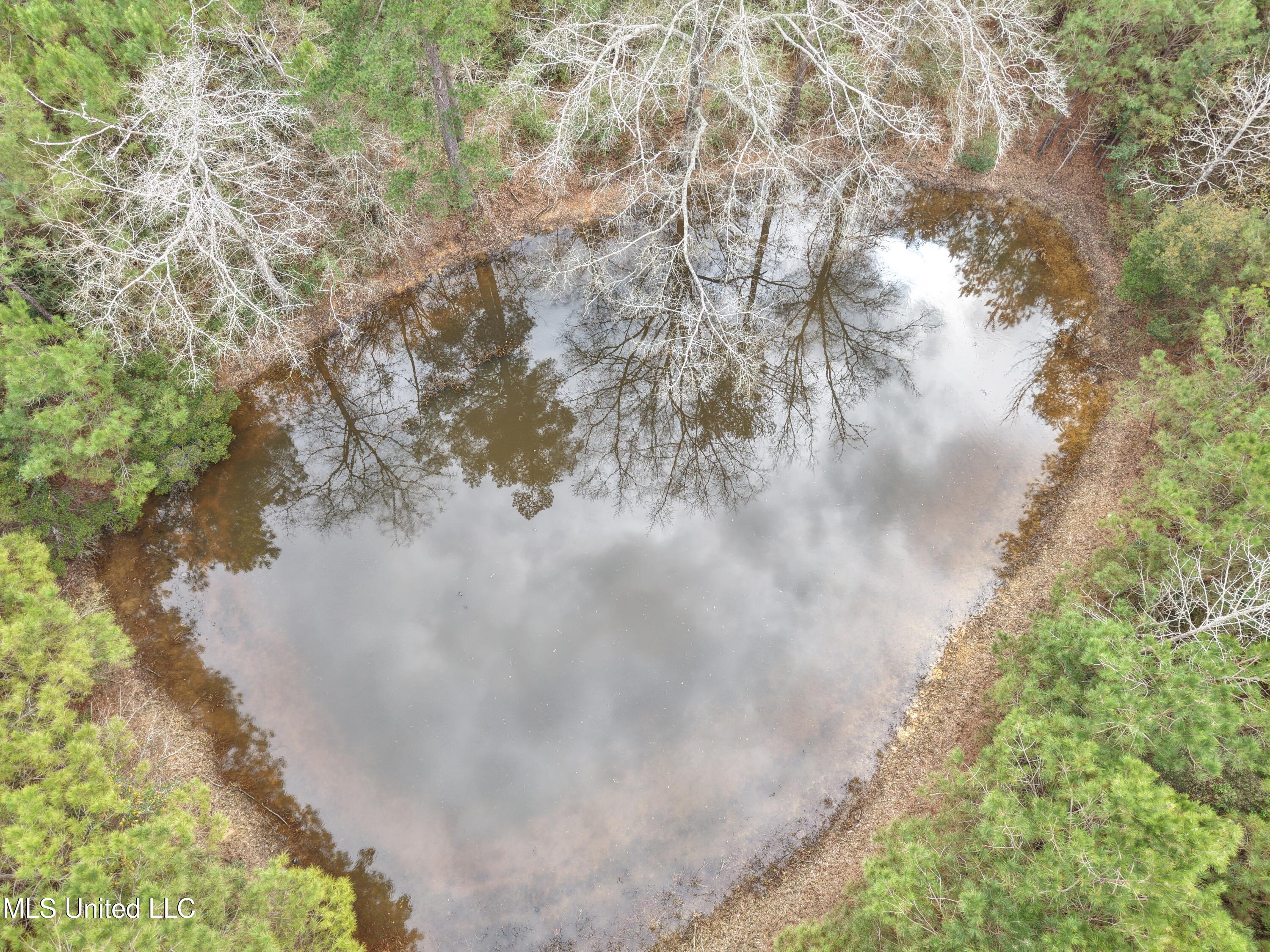 Dyess Road Carson, MS 39427 - Photo 35 of 35 dji_fly_20260218_115528_0075_17714518667
