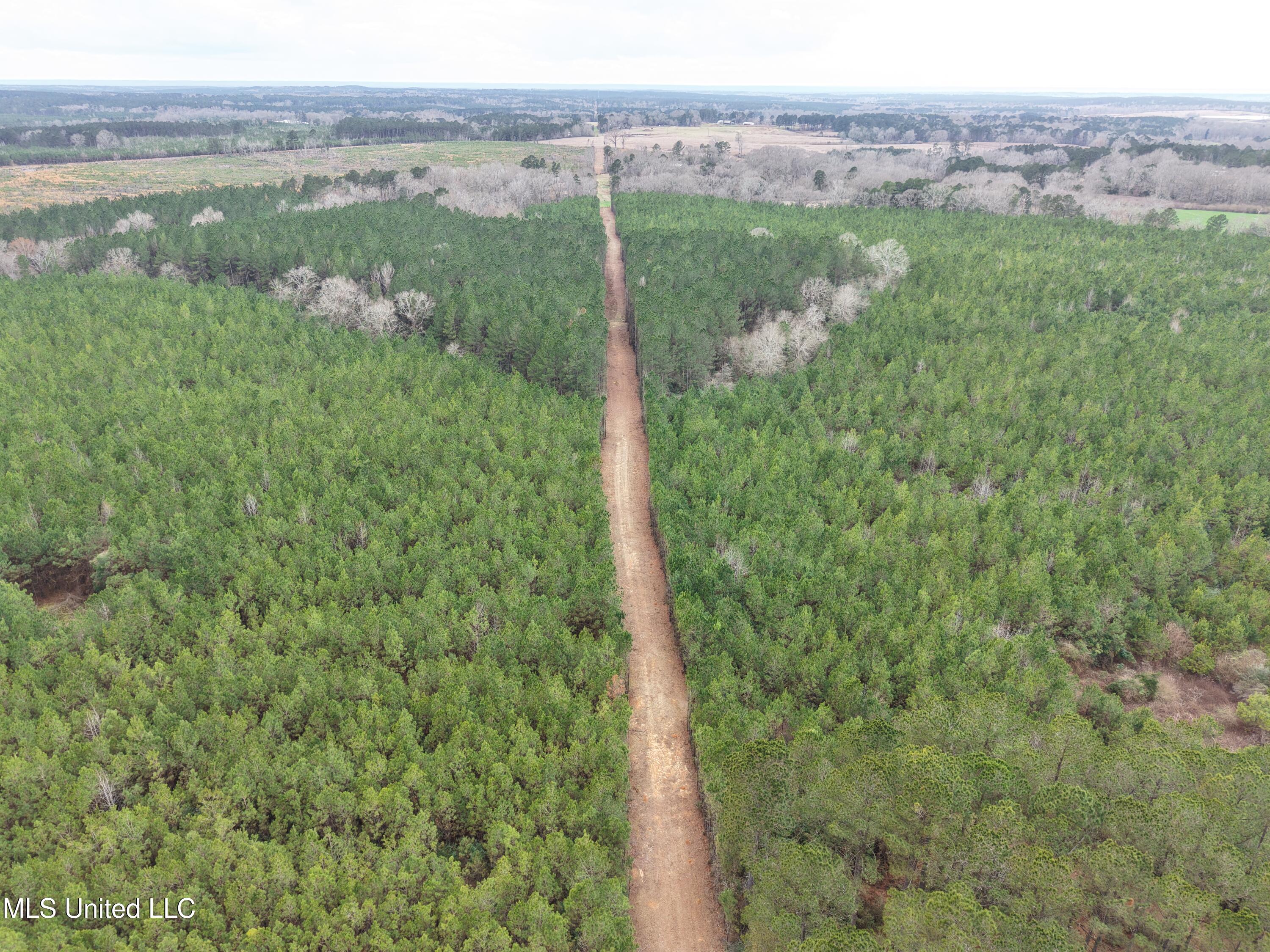 Dyess Road Carson, MS 39427 - Photo 5 of 35 dji_fly_20260218_114934_0068_17714518832