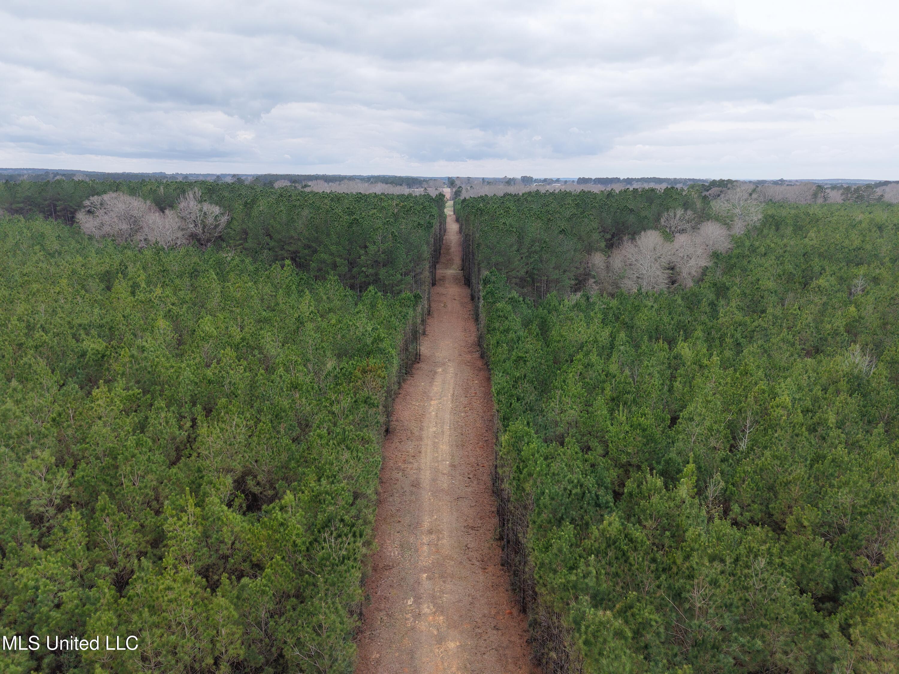 Dyess Road Carson, MS 39427 - Photo 6 of 35 dji_fly_20260218_115010_0069_17714518760