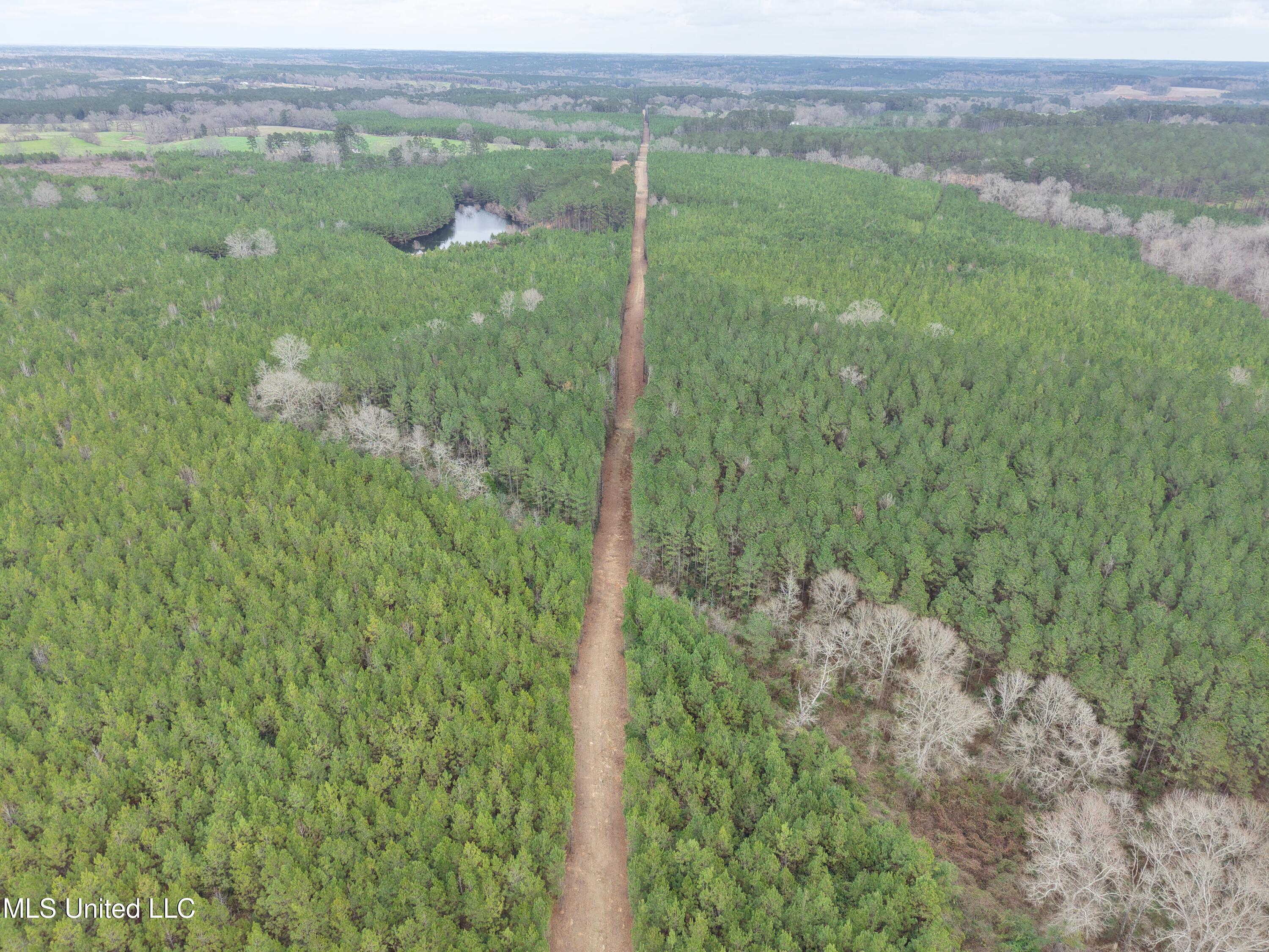 Dyess Road Carson, MS 39427 - Photo 7 of 35 dji_fly_20260218_115256_0070_17714518744