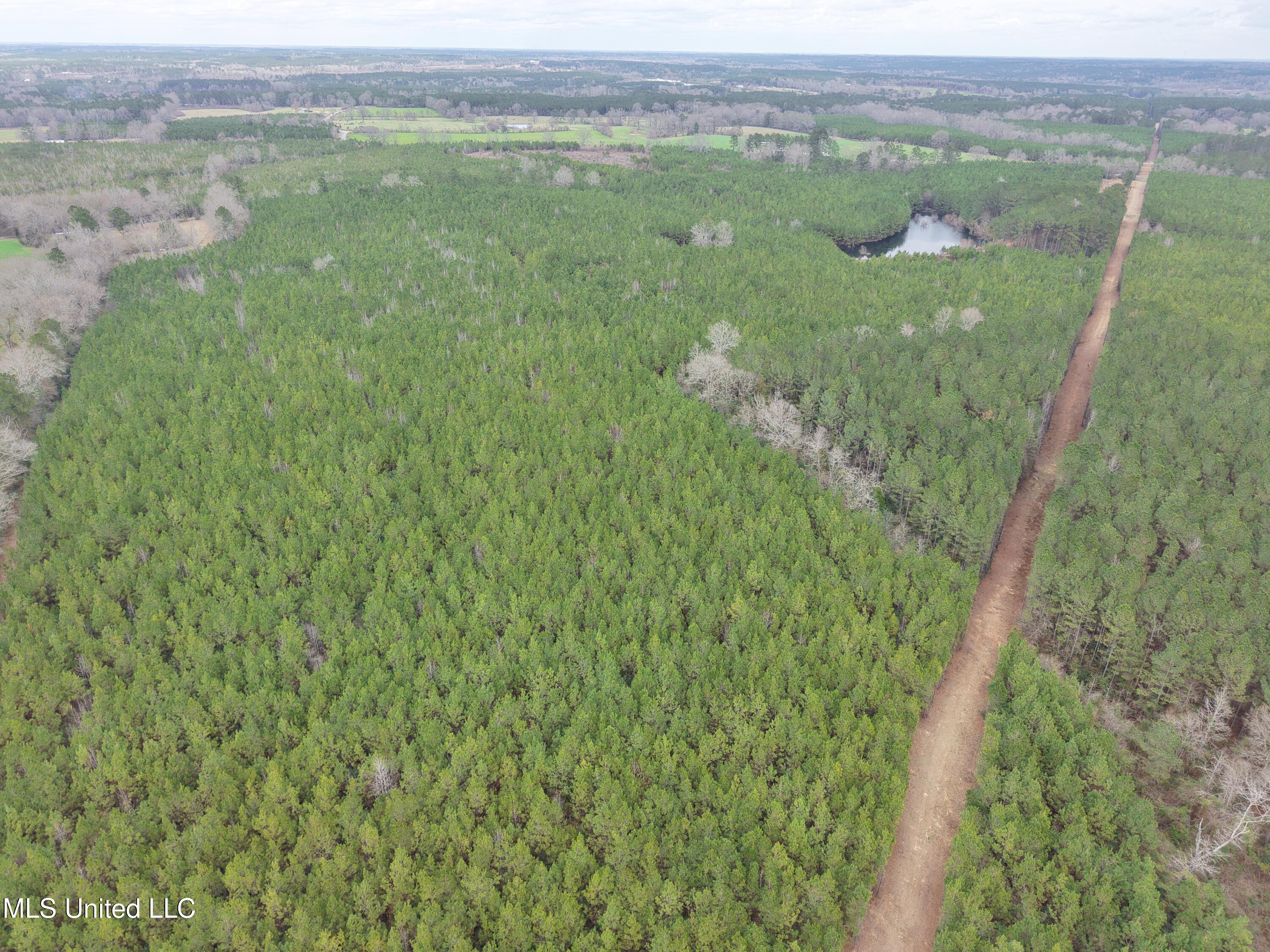 Dyess Road Carson, MS 39427 - Photo 8 of 35 dji_fly_20260218_115302_0071_17714518728
