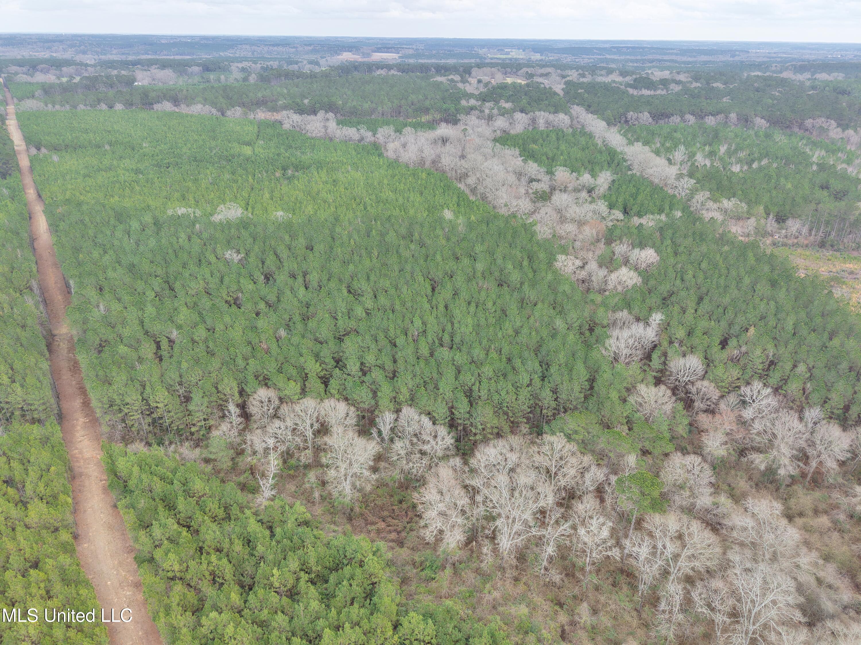 Dyess Road Carson, MS 39427 - Photo 9 of 35 dji_fly_20260218_115306_0072_17714518713