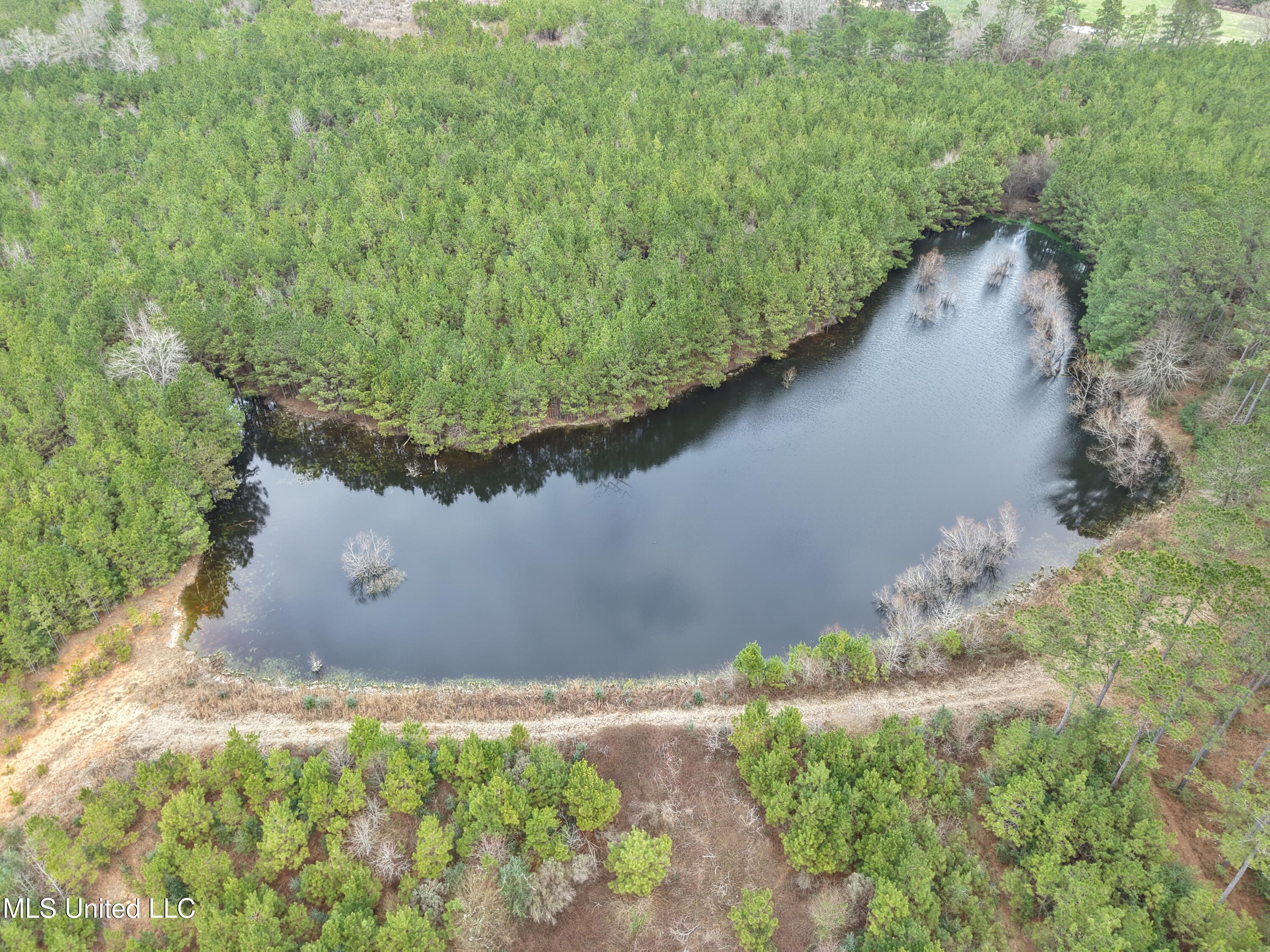 Dyess Road Carson, MS 39427 - Photo 10 of 35 dji_fly_20260218_115622_0076_17714518646