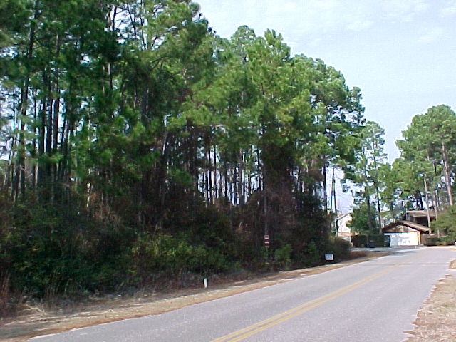 125 Walton Way Destin, FL 32550 - Photo 1 of 1