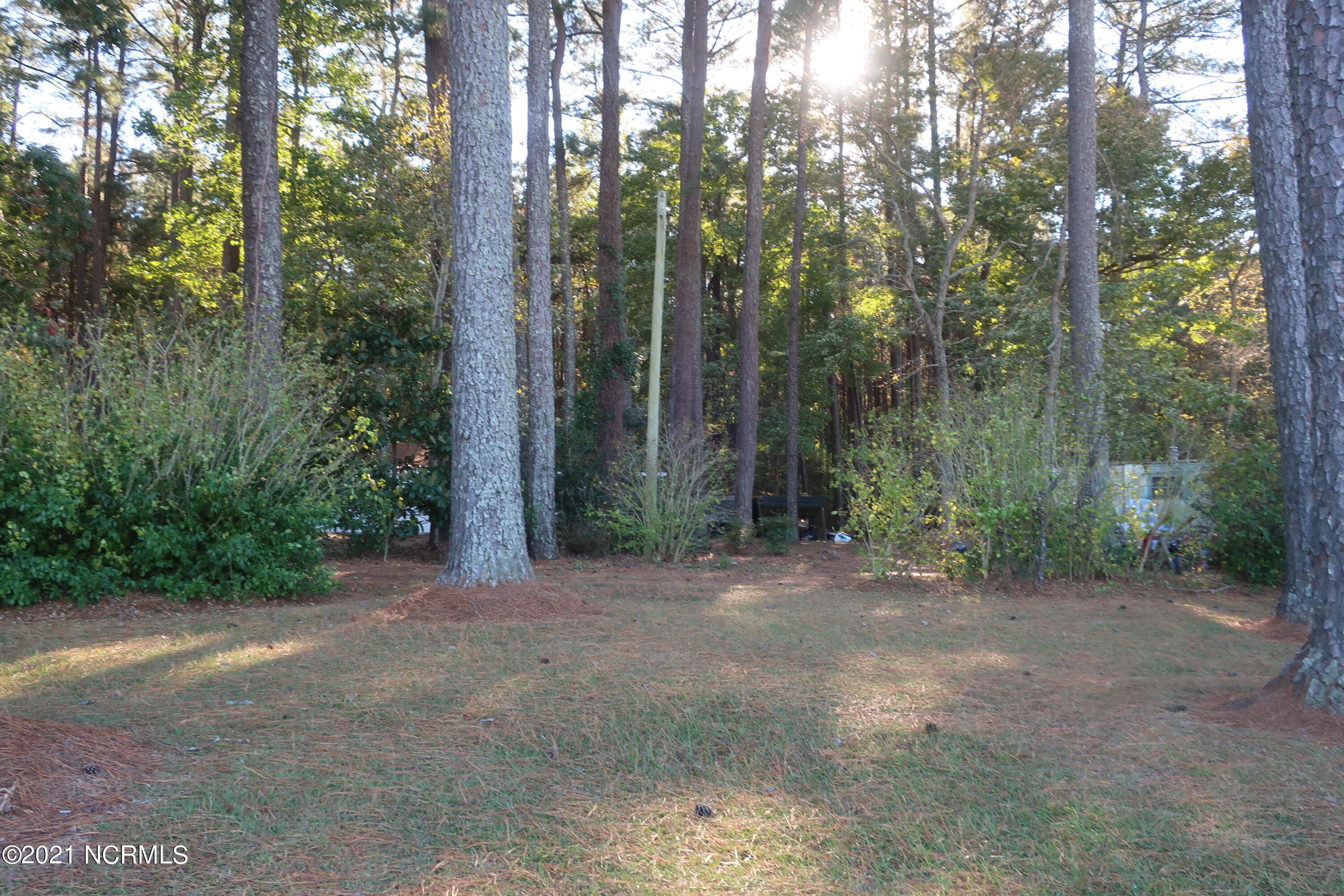 4709 Cherry Road Washington, NC 27889 - Photo 5 of 5 005 the lot