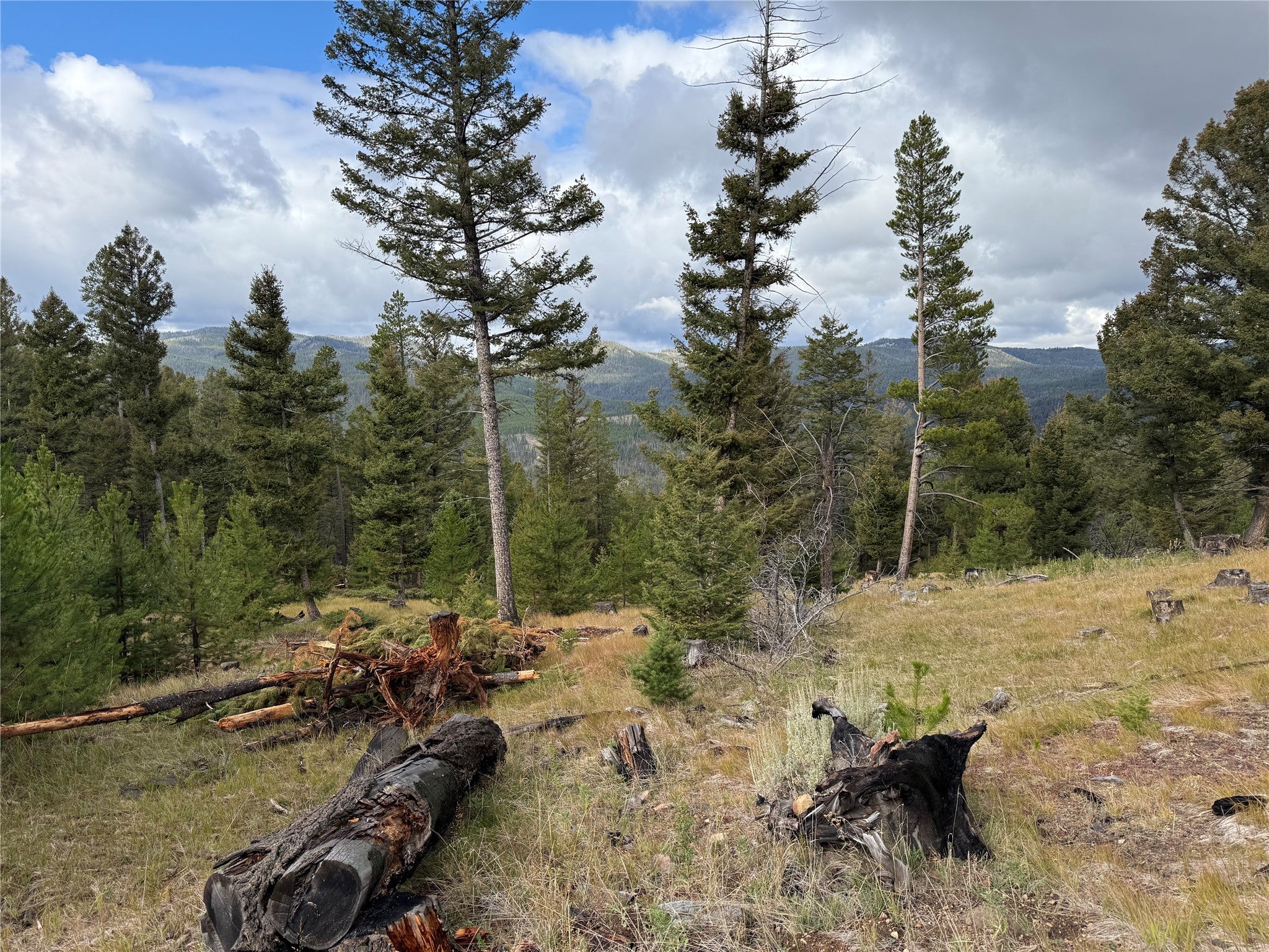 Lot 8 Ruby Street Butte, MT 59701 - Photo 20 of 34 Gallery Image 20