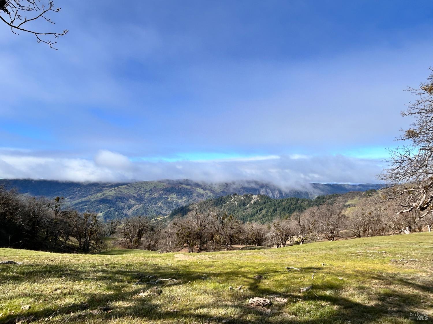 74000 Island Mountain Road Garberville, CA 95542 - Photo 21 of 36