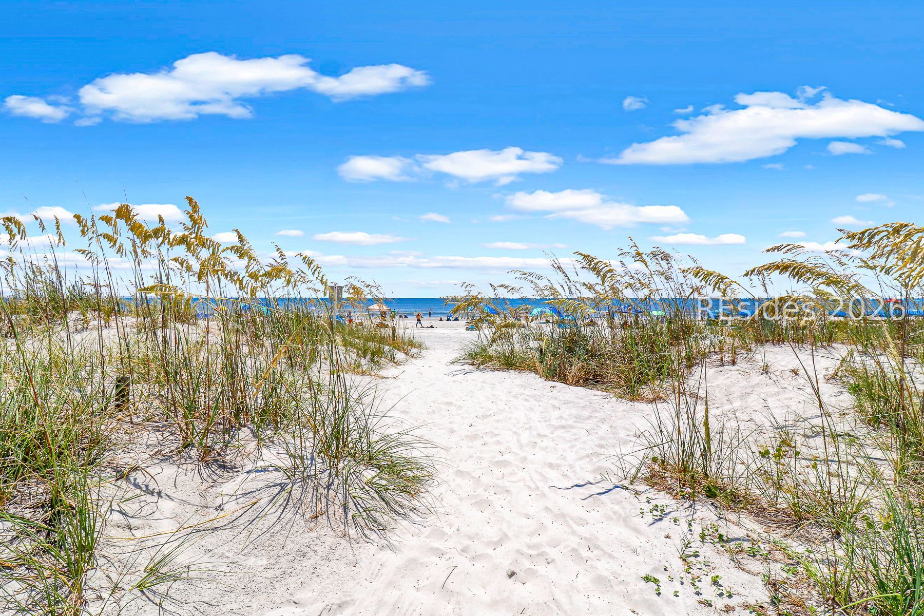 2 Canvasback Road Hilton Head Island, SC 29928 - Photo 44 of 46