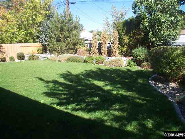 920 Bates Avenue Reno, NV 89502 - Photo 10 of 13 a view of a yard with large trees