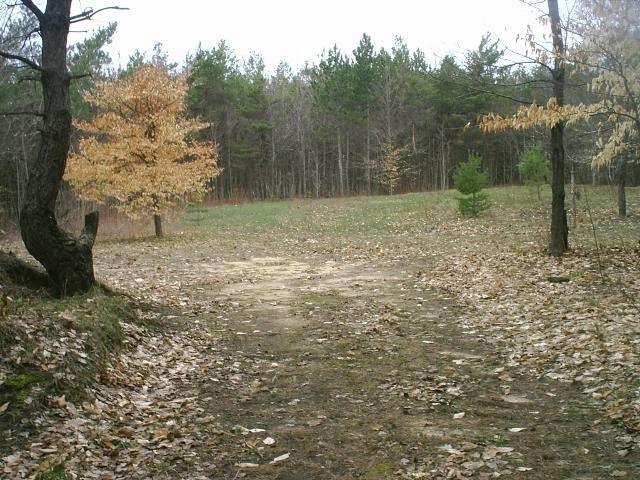 303 East Simpson Road Mancelona, MI 49659 - Photo 7 of 8 1781873-6.JPG