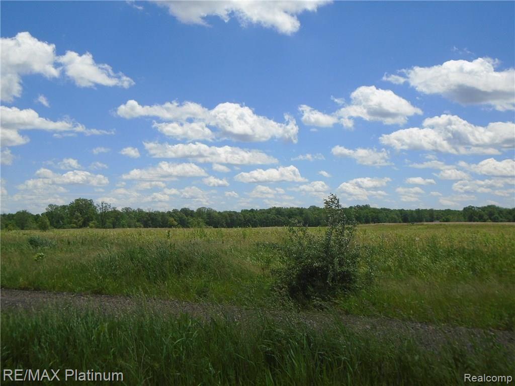 Parcel G Hacker Road Howell, MI 48843 - Photo 12 of 14