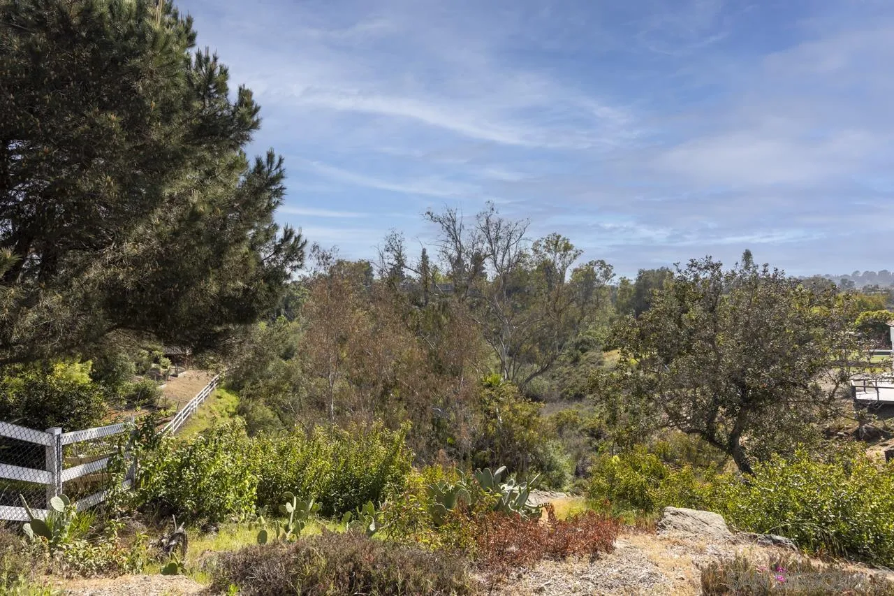 3245 Brookside Lane Encinitas, CA 92024 - Photo 49 of 53