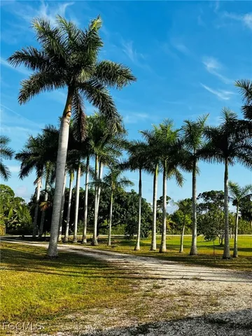 a view of a park
