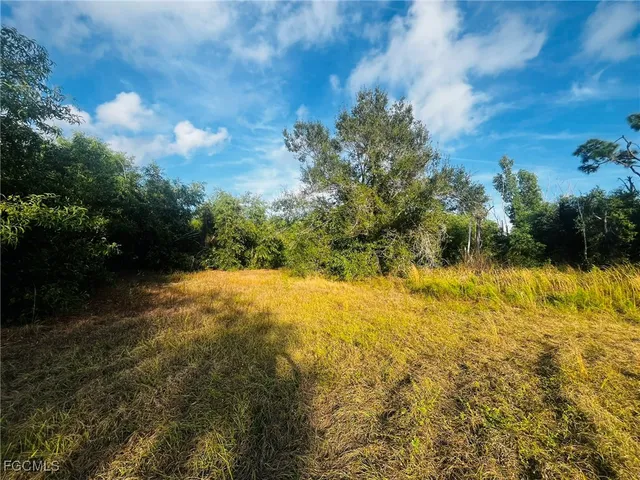 a view of a yard with a tree