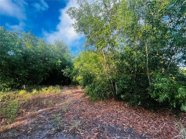 a view of a backyard