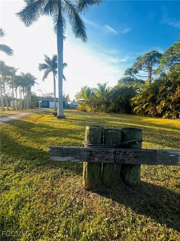 a view of a yard with plants