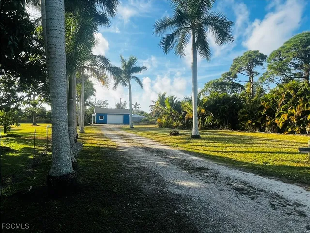 a view of swimming pool with palm trees