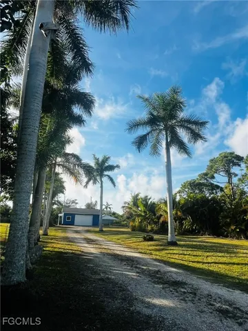 a view of swimming pool with a yard and palm trees