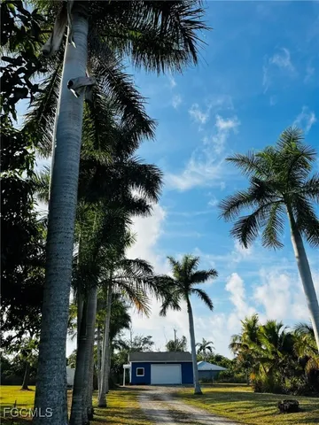 a view of outdoor space with palm trees