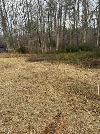 a view of outdoor space with trees