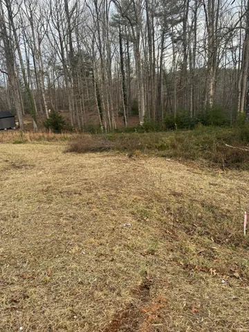 a view of outdoor space with trees