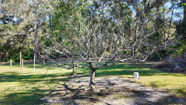 $425,000 | 1628 North Jefferson Street, Monticello, FL 32344