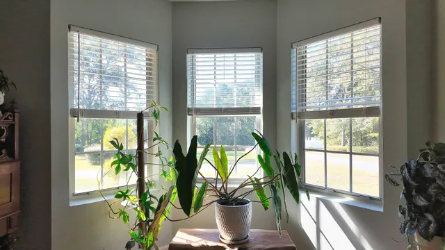 $505,500 | 1628 North Jefferson Street, Monticello, FL 32344