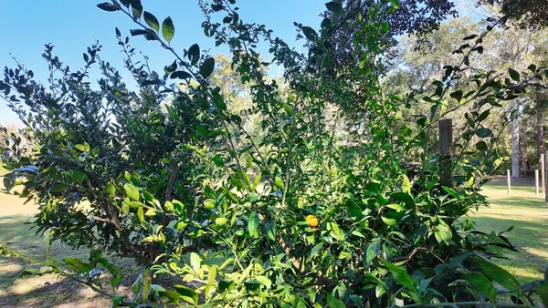 $425,000 | 1628 North Jefferson Street, Monticello, FL 32344