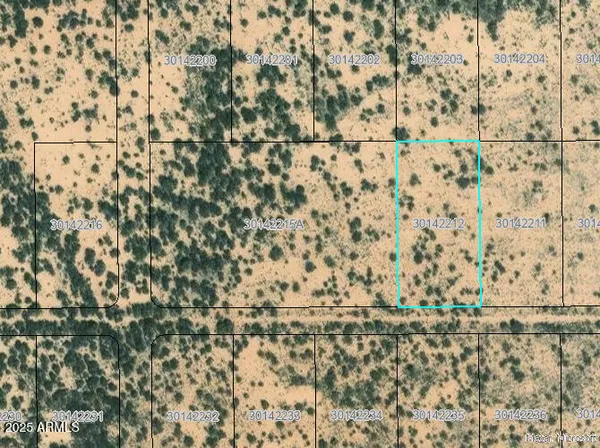 $6,000 | 1401-appx East Tamarack Road, Bowie, AZ 85605