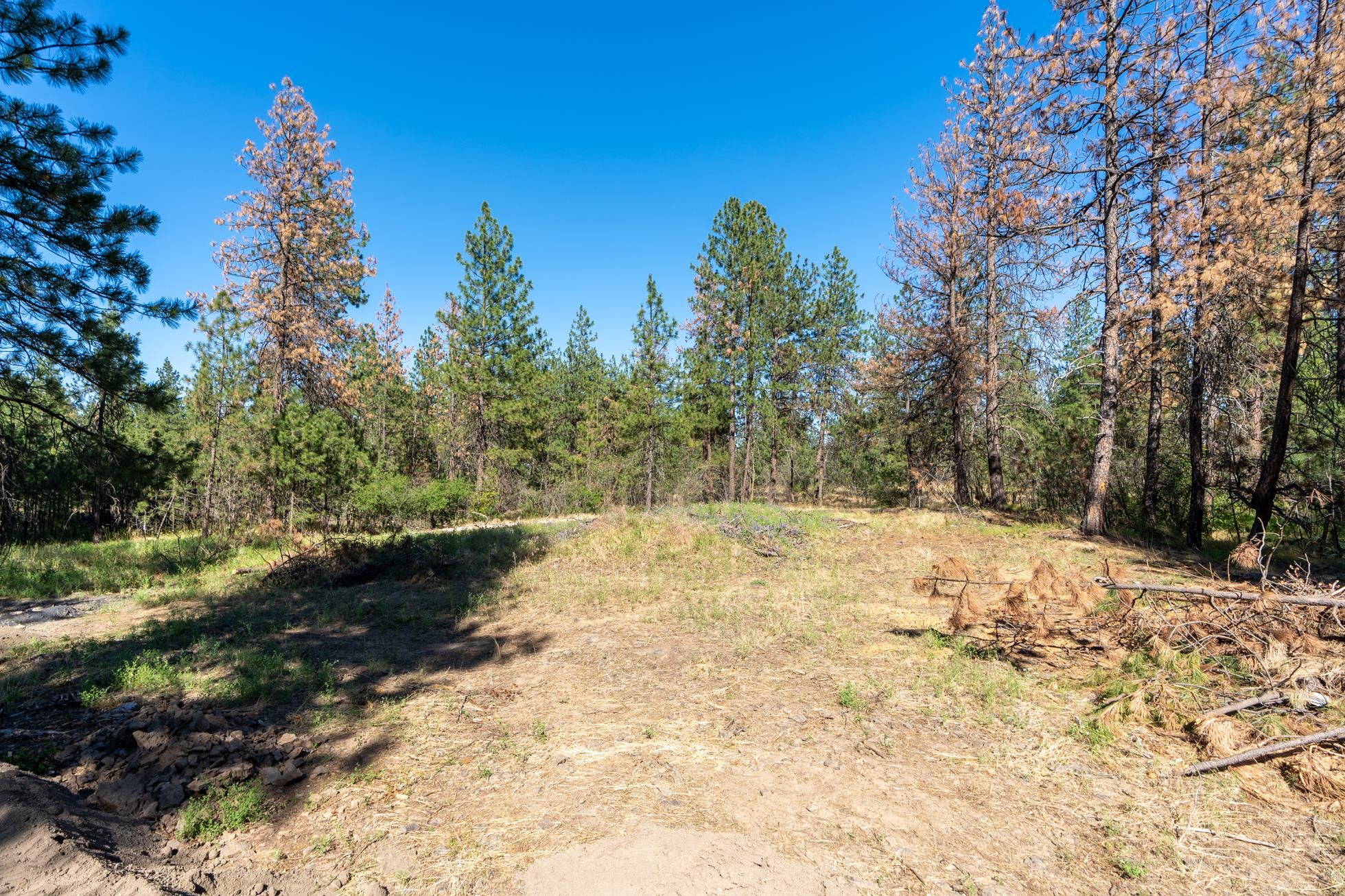 Xxx South Merryweather Road Spokane, WA 99224 - Photo 6 of 10