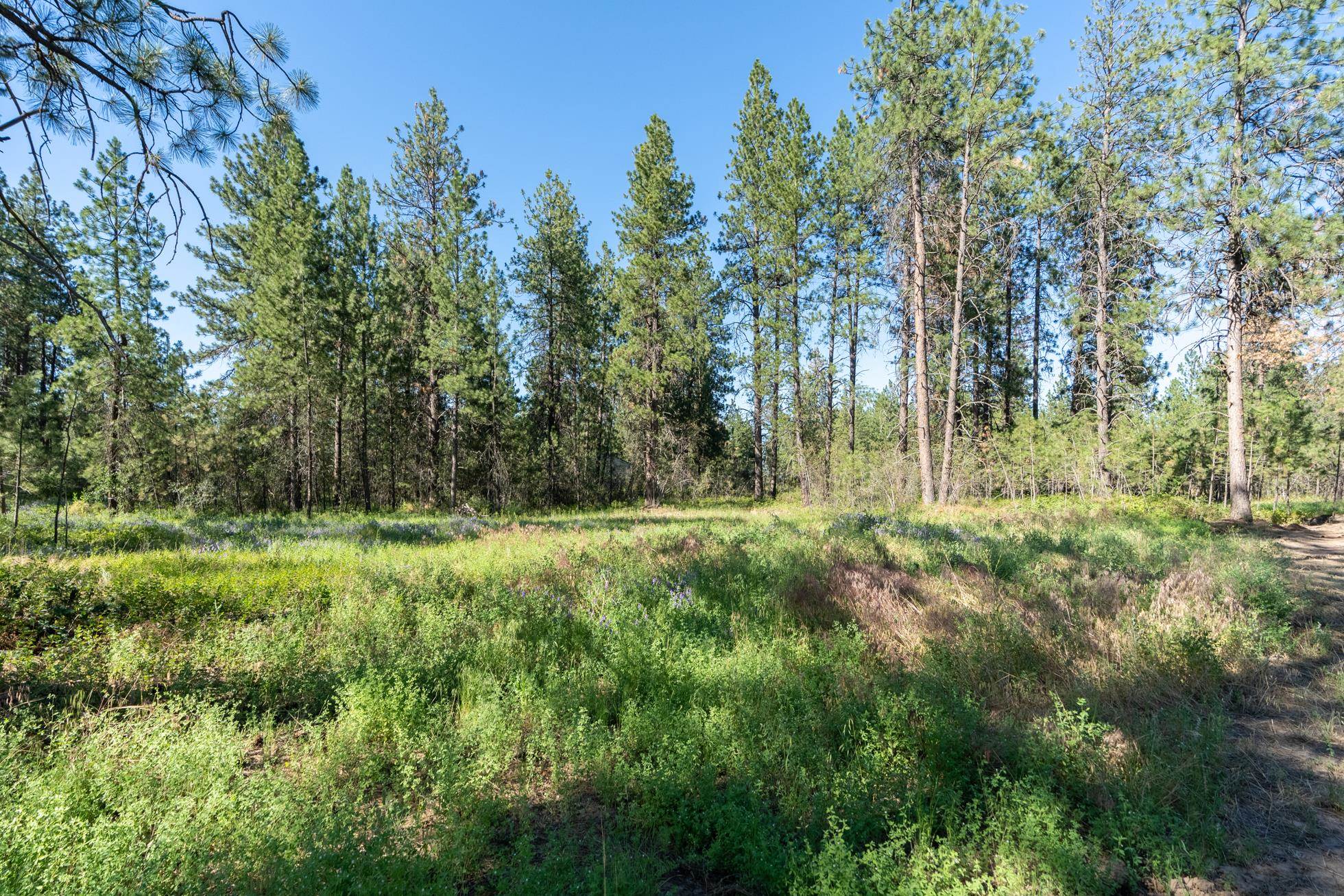 Xxx South Merryweather Road Spokane, WA 99224 - Photo 7 of 10