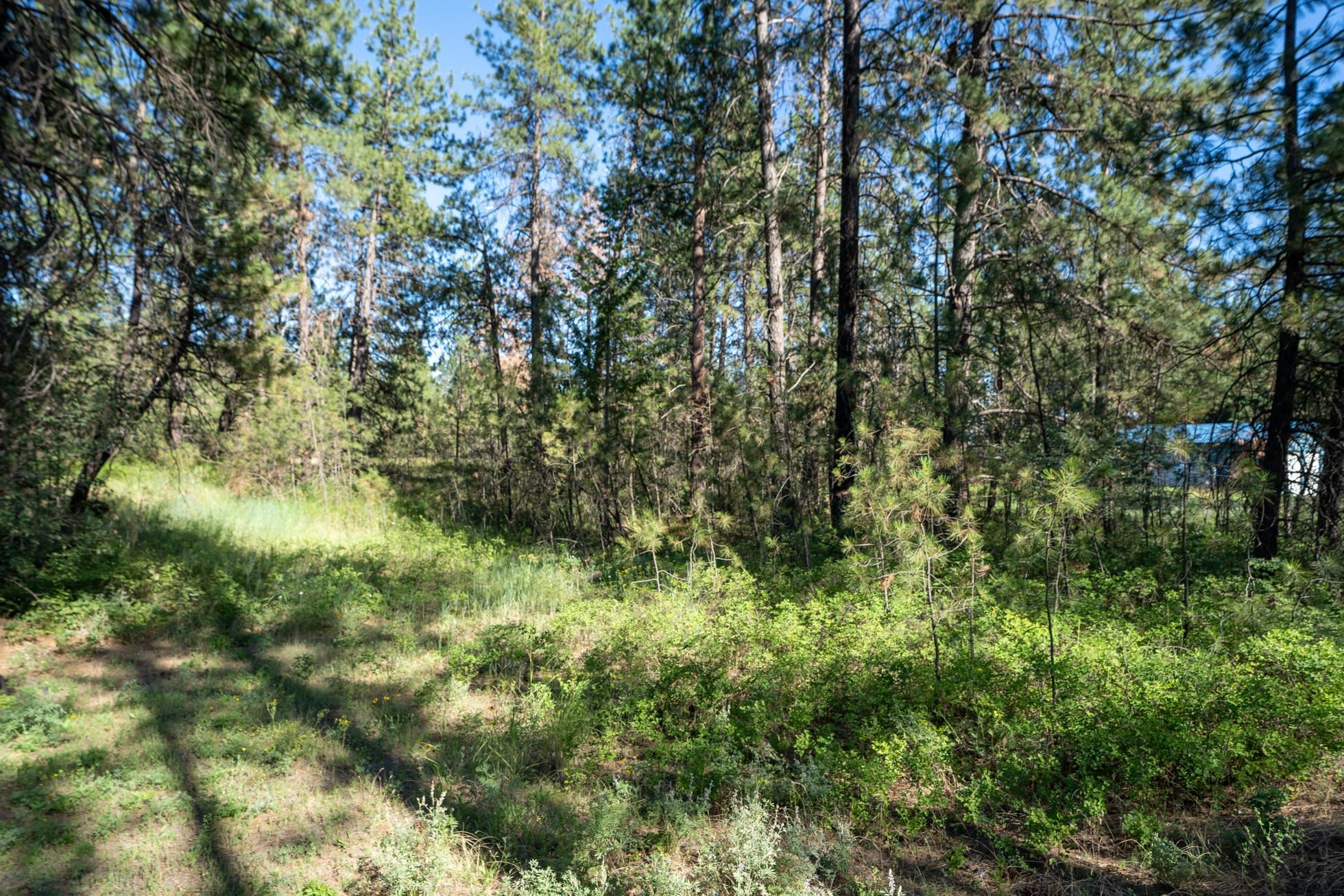 Xxx South Merryweather Road Spokane, WA 99224 - Photo 8 of 10