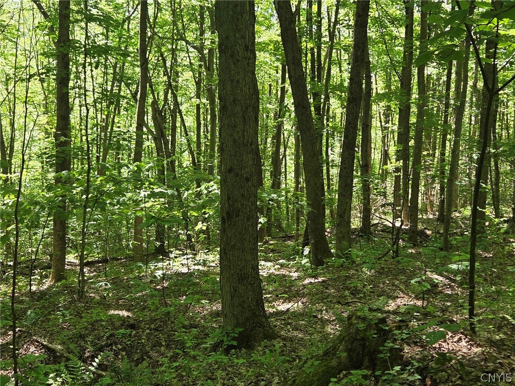 446 Nys Route Cuba, NY 14727 - Photo 40 of 47
