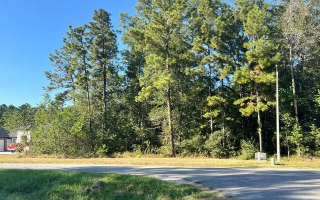 a view of swimming pool with palm trees