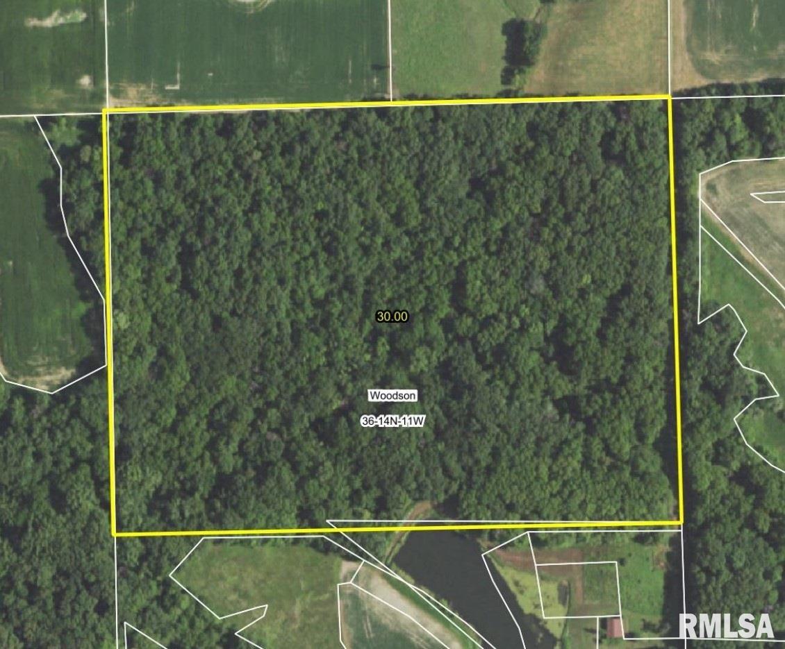 Midway Road Murrayville, IL 62668 - Photo 1 of 10