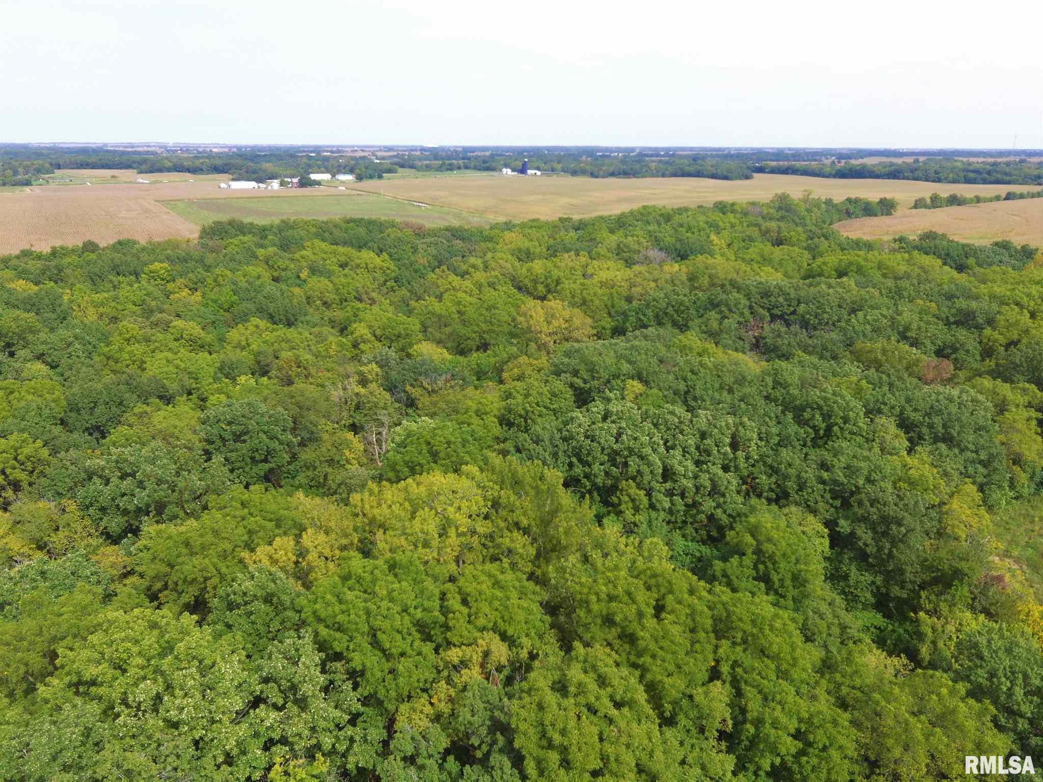 Midway Road Murrayville, IL 62668 - Photo 2 of 10
