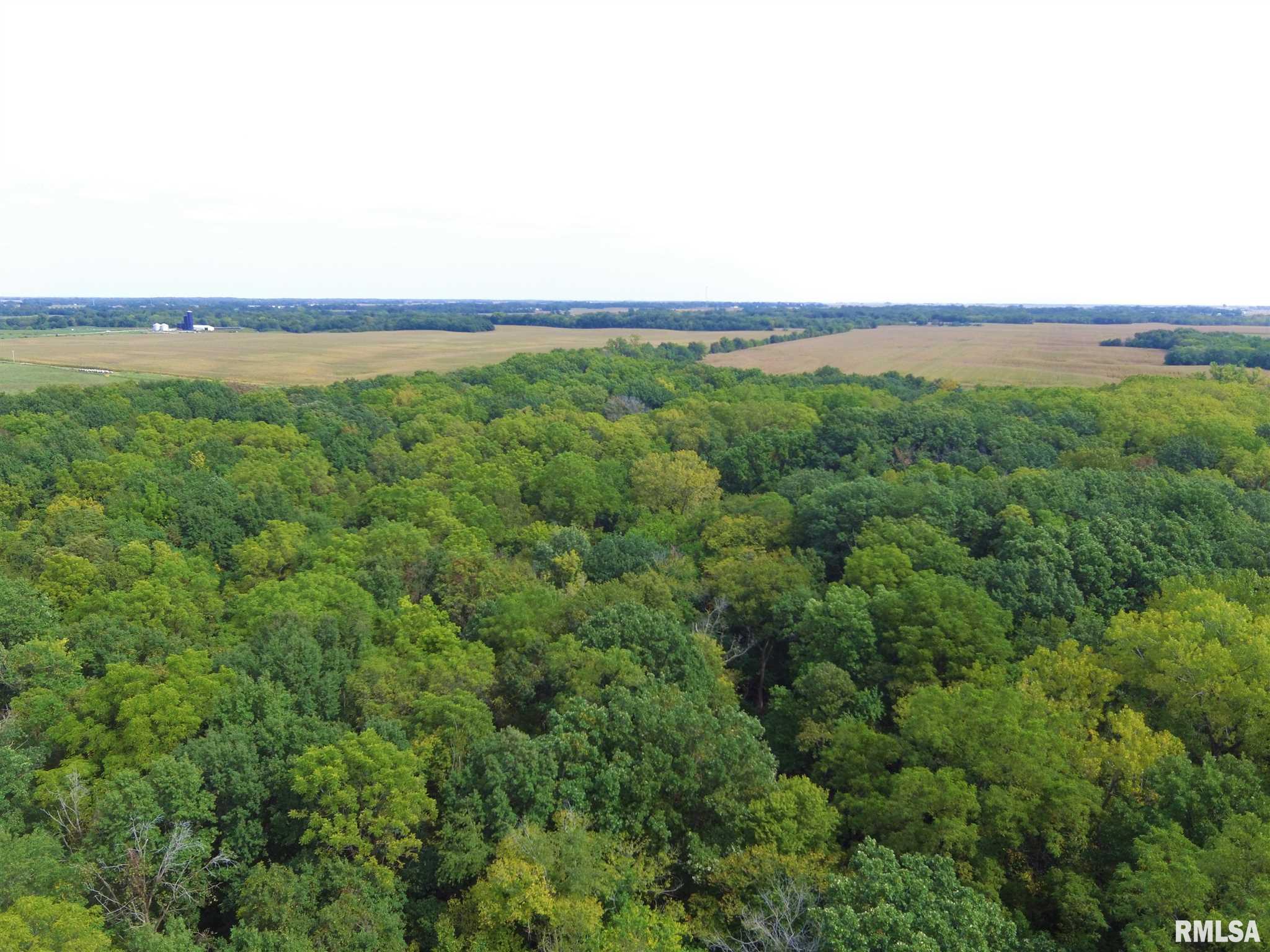 Midway Road Murrayville, IL 62668 - Photo 3 of 10