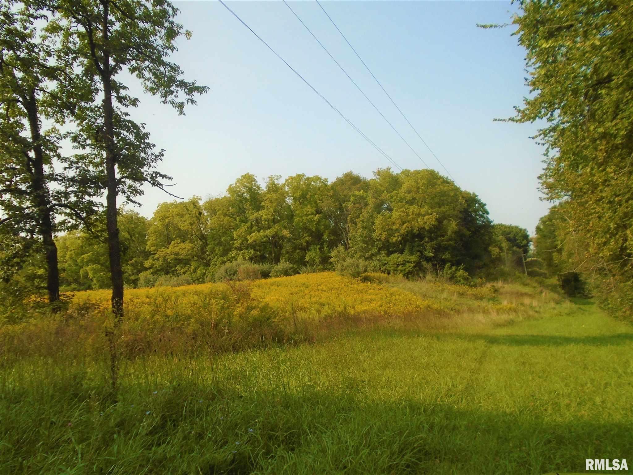 Midway Road Murrayville, IL 62668 - Photo 6 of 10