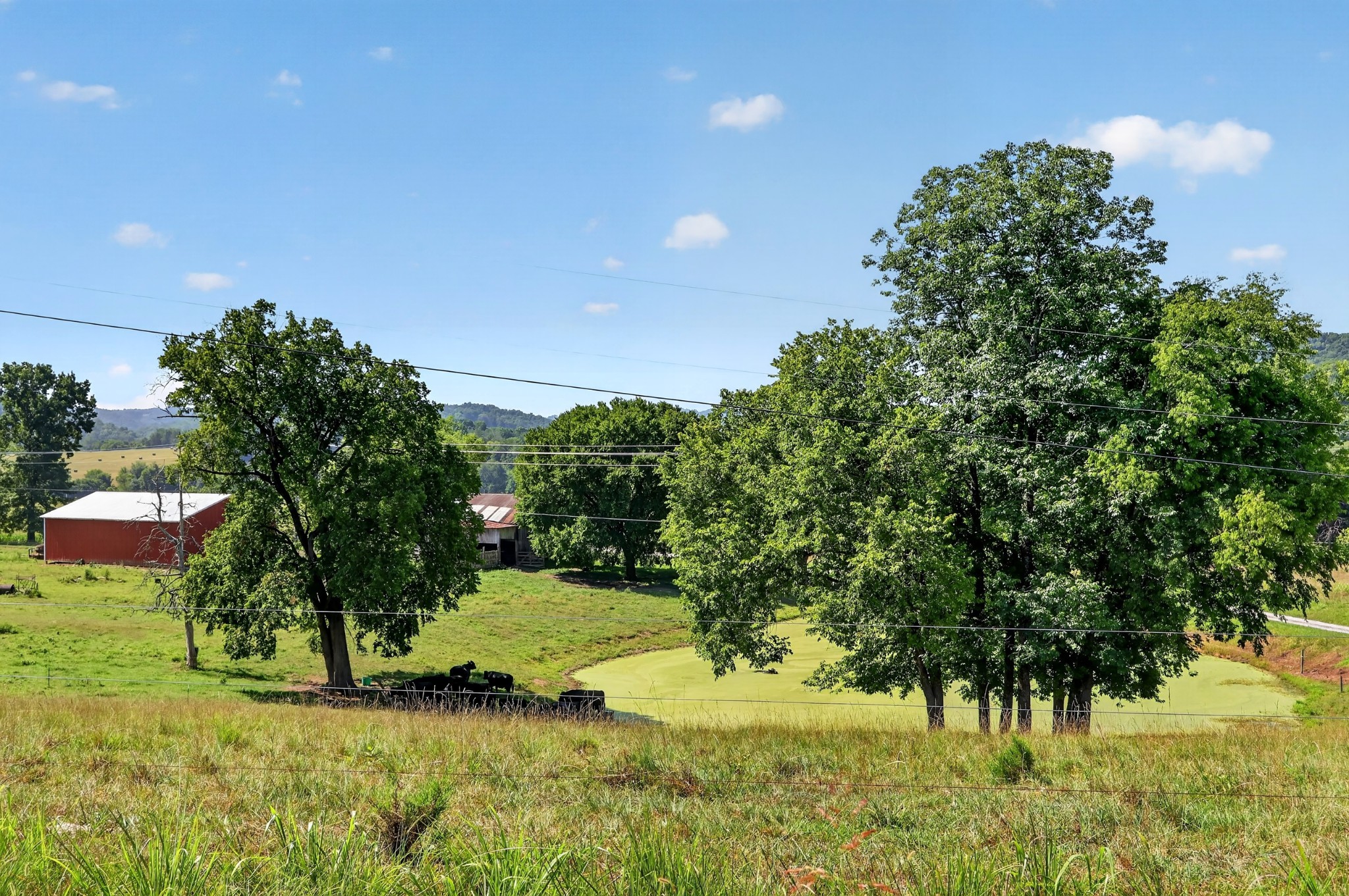5713 Smith Fork Road Liberty, TN 37095 - Photo 68 of 74