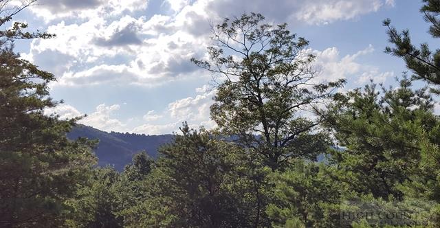 Soaring Heights Boone, NC 28607 - Photo 3 of 3 Gallery Image 3