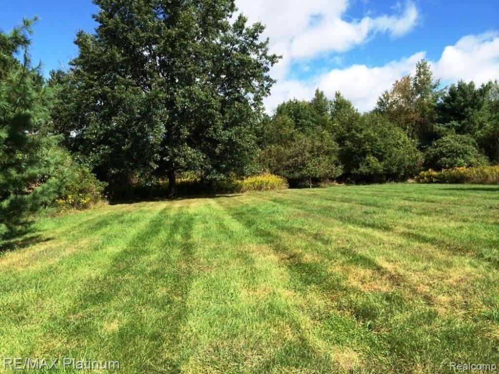 4587 East Clyde Road Howell, MI 48855 - Photo 10 of 22 Back Yard.JPG