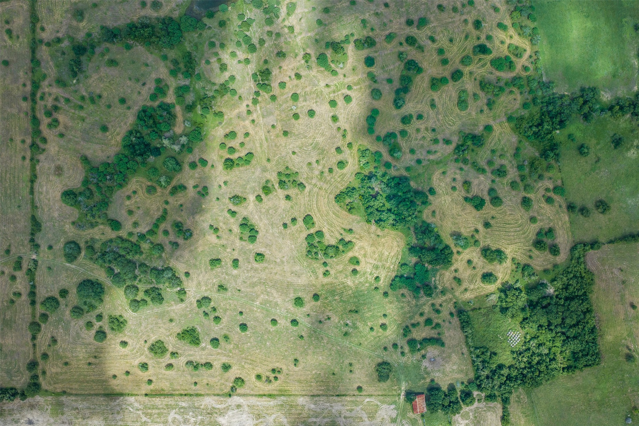 13041 Seydler Road Weimar, TX 78962 - Photo 37 of 42
