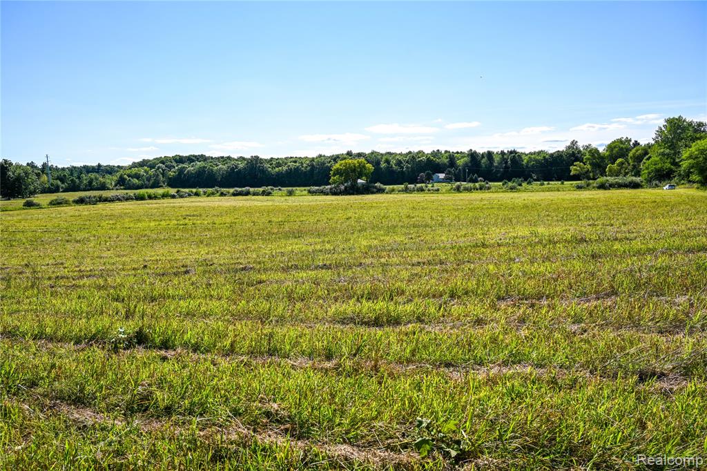0 Wagner Road Imlay City, MI 48444 - Photo 35 of 43