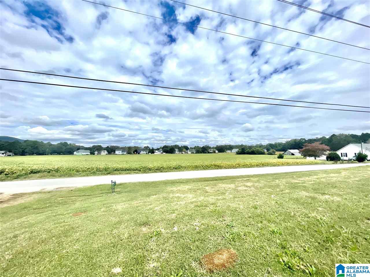 208 Old Downing Ml Road Anniston, AL 36207 - Photo 40 of 50