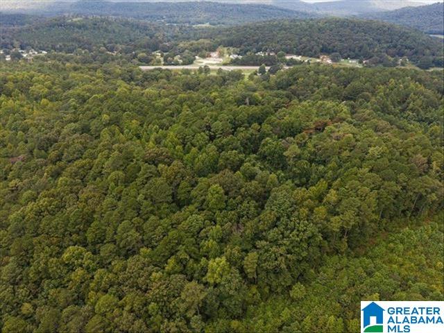 0 Cedar Drive Oneonta, AL 35121 - Photo 1 of 3